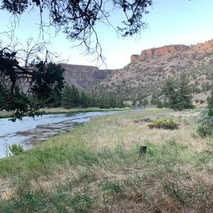 Meet your Posher, Lillian